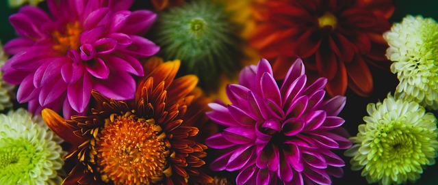 这一话题 这一话题