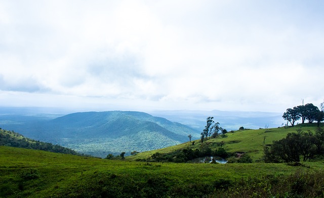 俱乐部面临 俱乐部面临