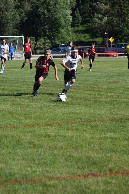 术特点和战 术特点和战